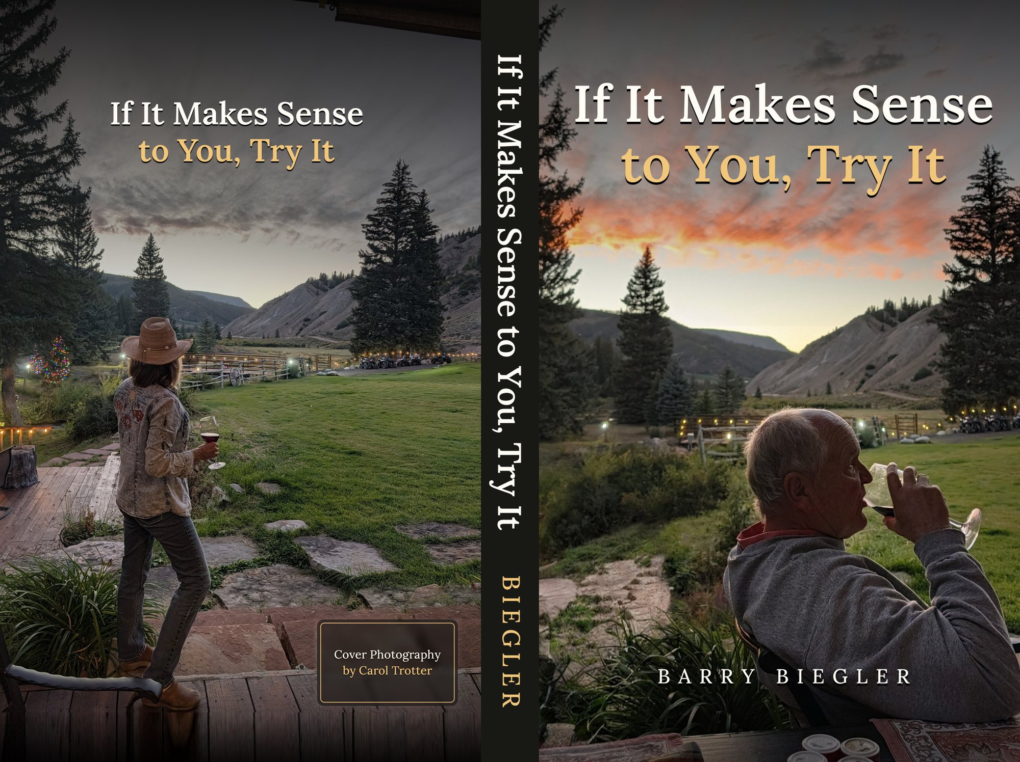 The full cover of If It Makes Sense to You, Try It by Barry Biegler: back, spine and front